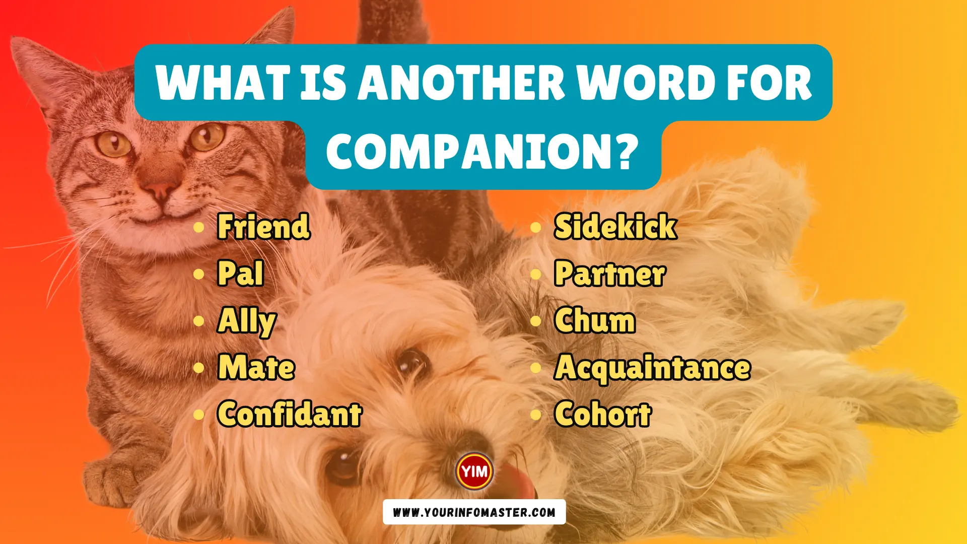 What Is Another Word For Companion Companion Synonyms Antonyms And 