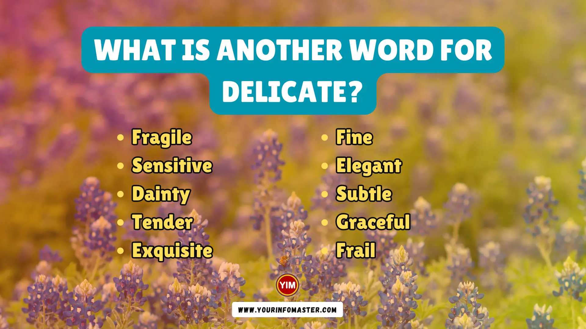 What Is another Word For Delicate Delicate Synonyms Antonyms And 