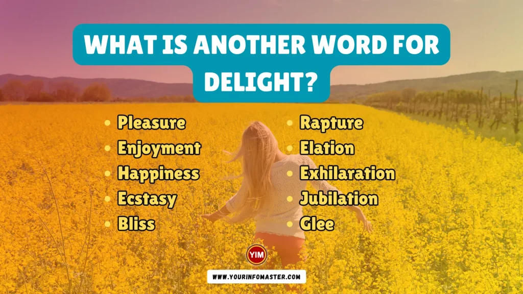 What is another word for Delight