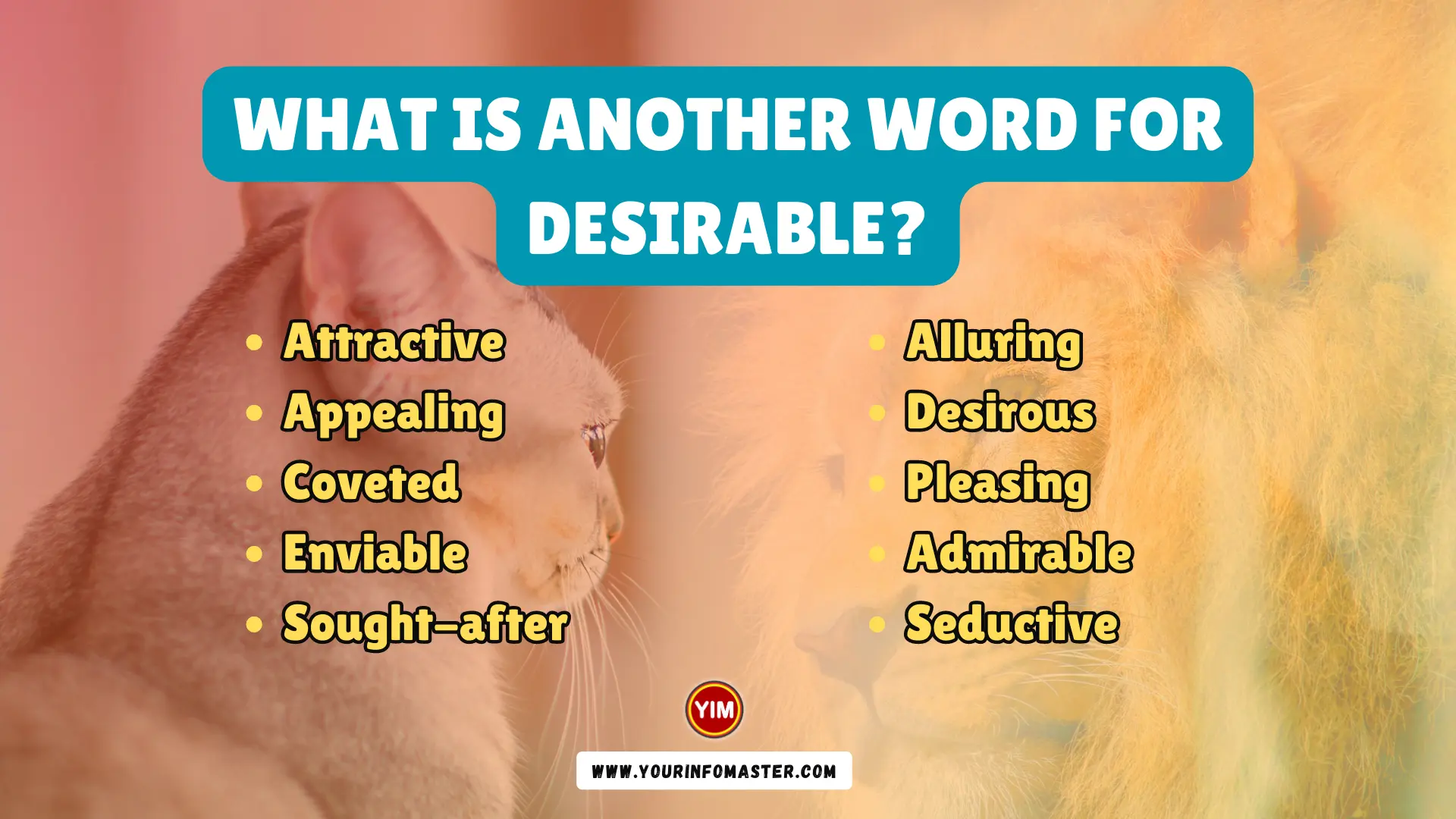 What Is Another Word For Desirable Desirable Synonyms Antonyms And 