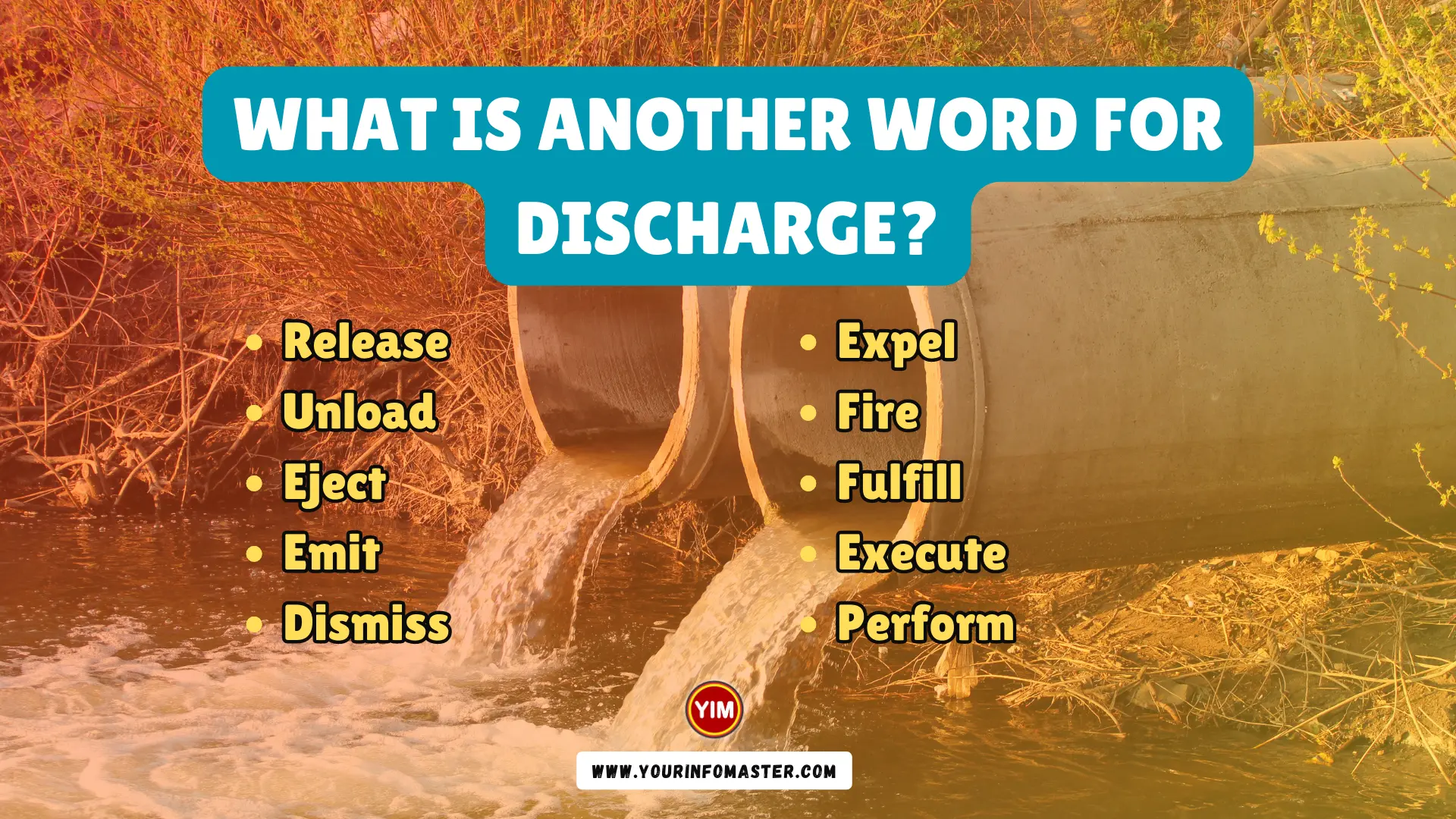 What Is Another Word For Discharge Discharge Synonyms Antonyms And 