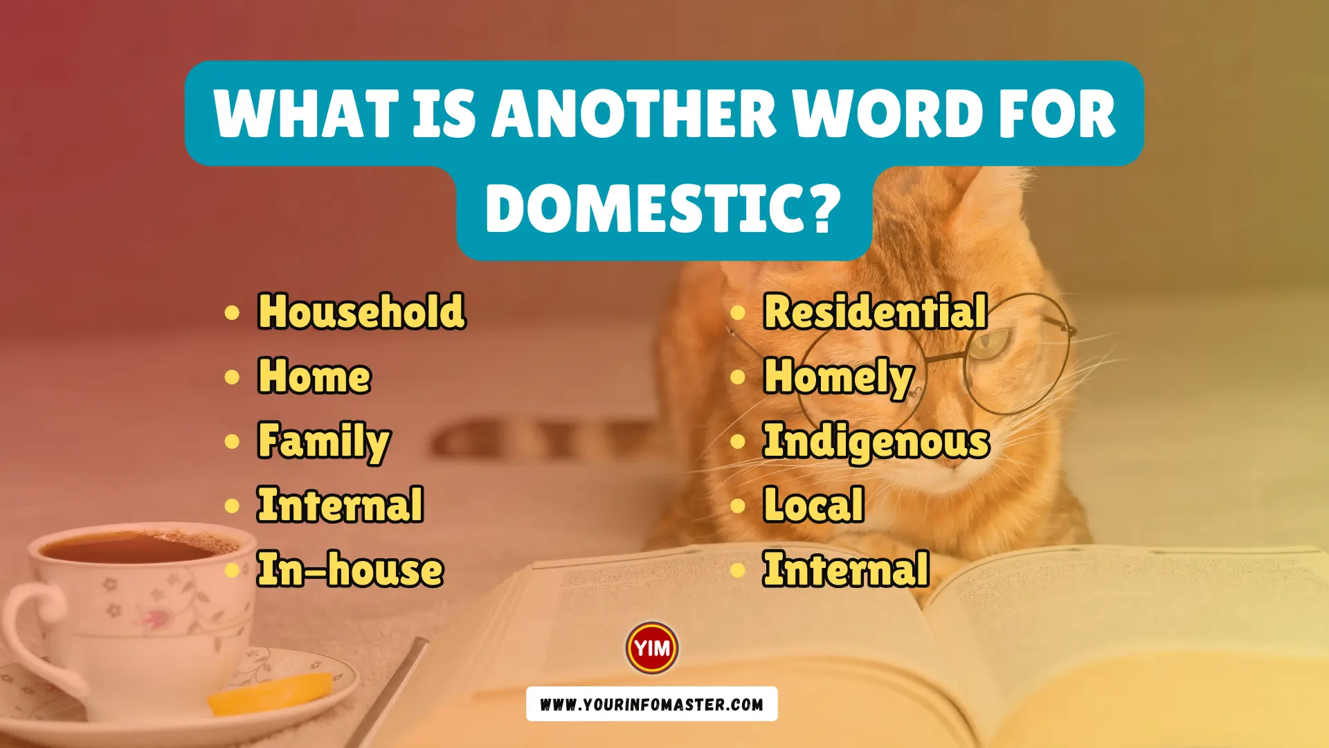 What Is Another Word For Domestic Domestic Synonyms Antonyms And 