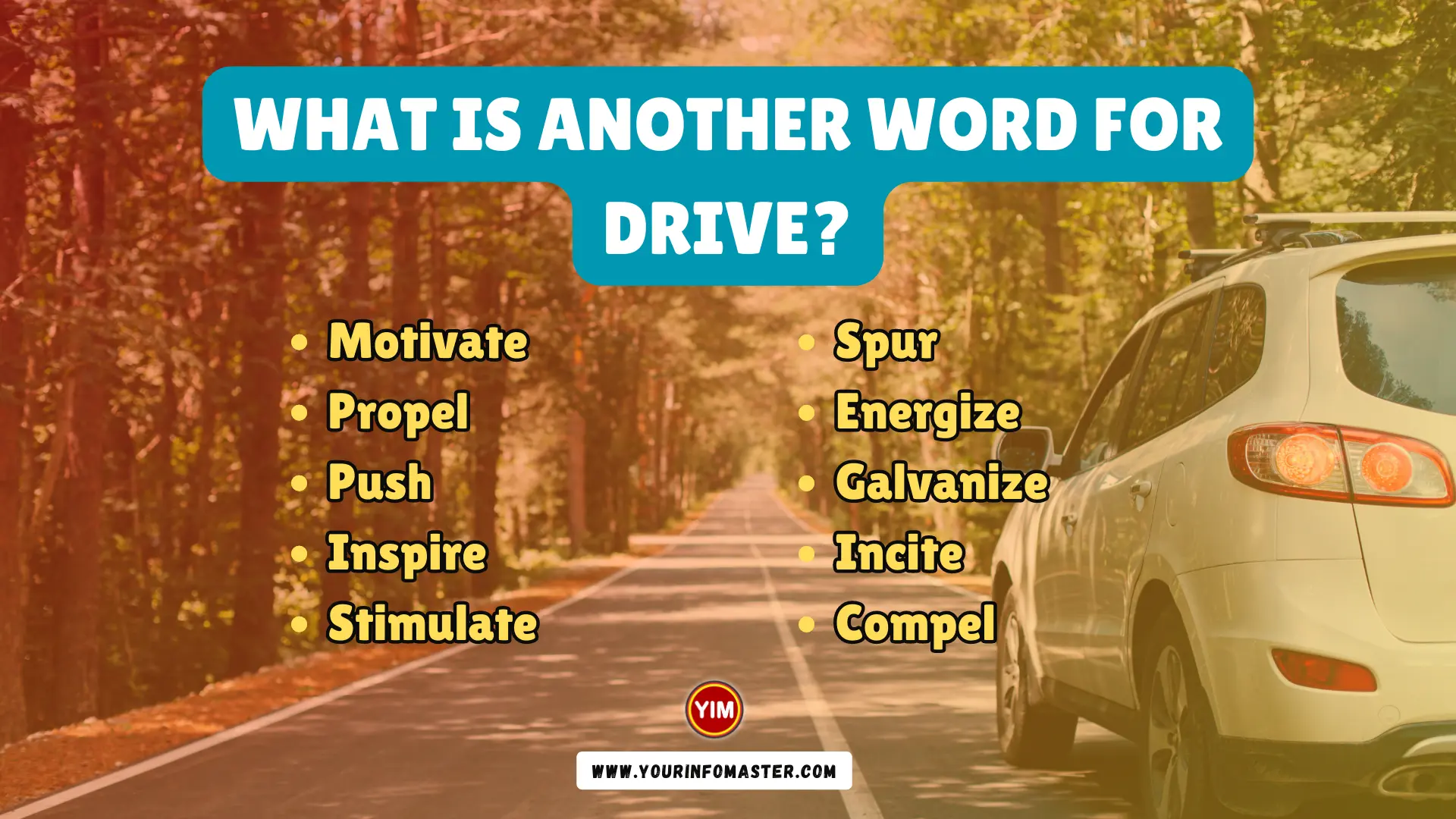 What Is Another Word For Drive Drive Synonyms Antonyms And 