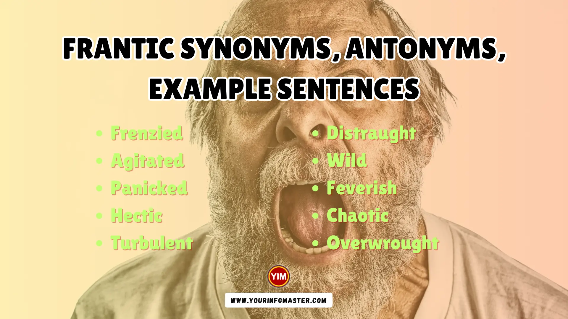 Frantic Synonyms Antonyms Example Sentences Your Info Master