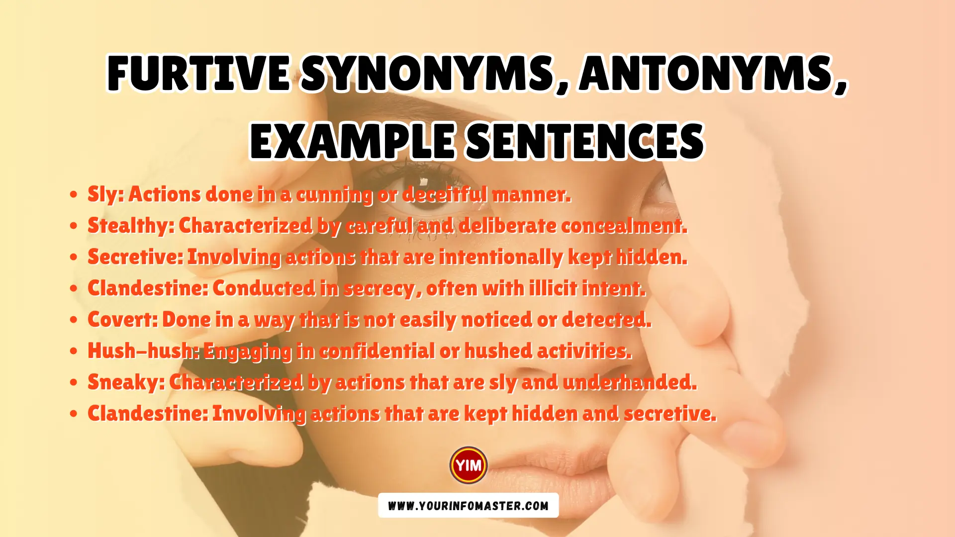 Furtive Synonyms Antonyms Example Sentences Your Info Master