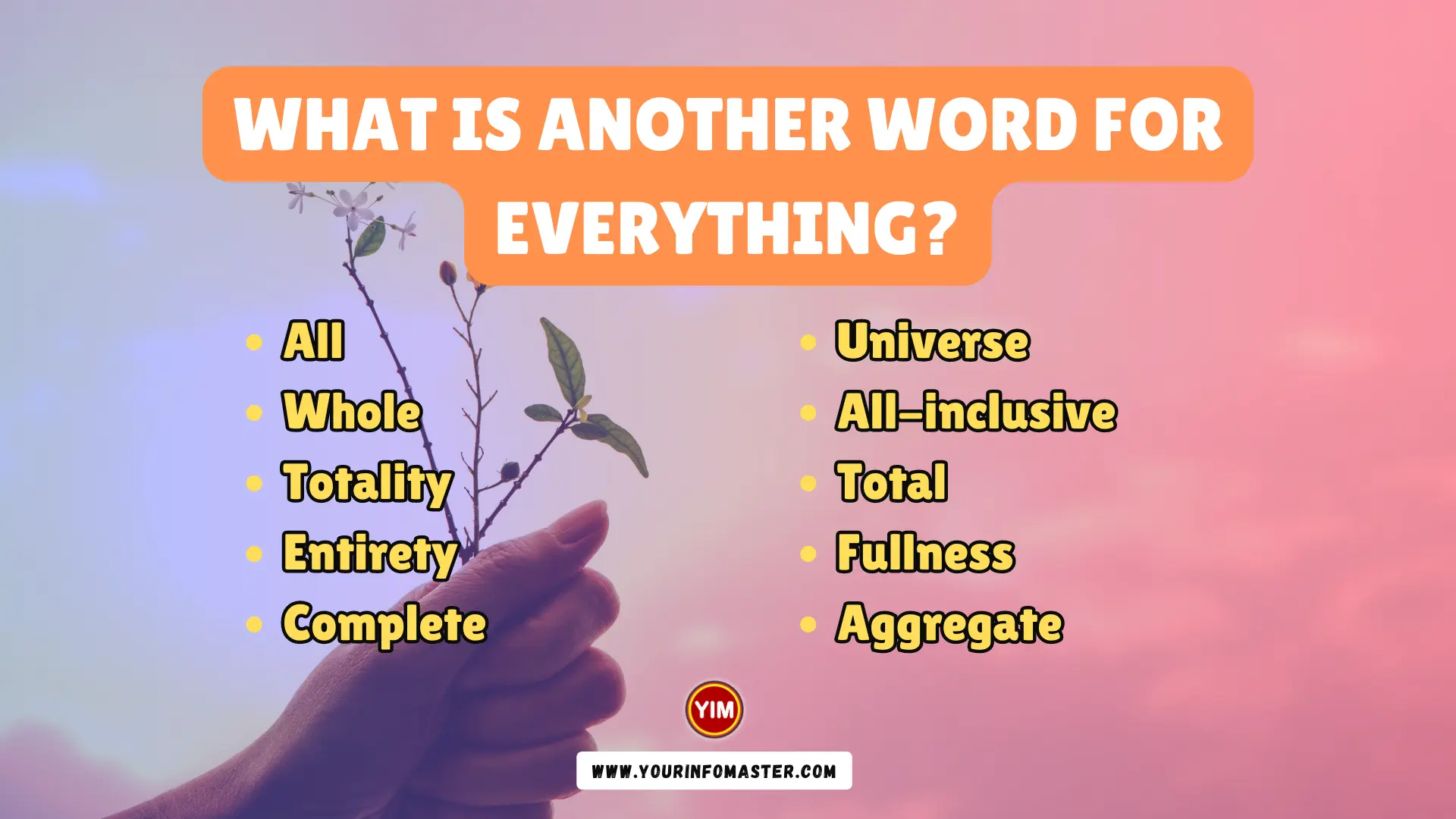 What Is Another Word For Everything Everything Synonyms Antonyms 