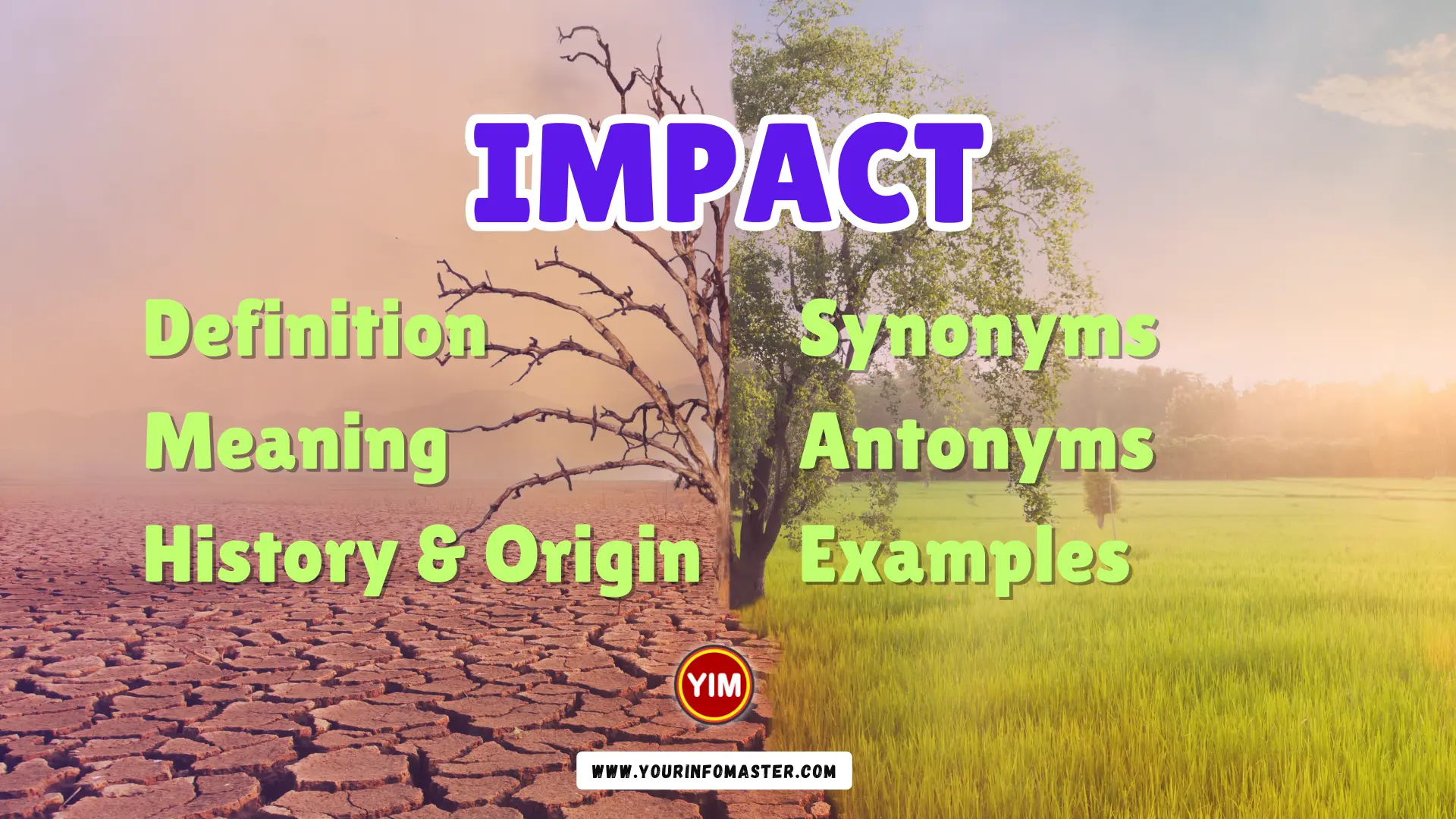 Impact Synonyms Antonyms Example Sentences Your Info Master 2023